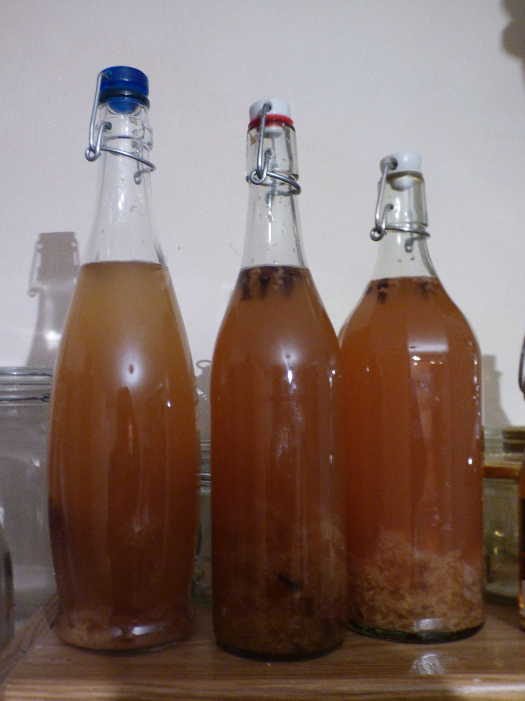 Bärenfang, geh du voran!